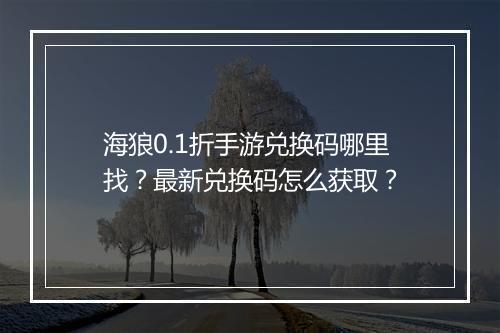 海狼0.1折手游兑换码哪里找?最新兑换码怎么获取?