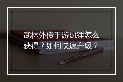 武林外传手游bt锤怎么获得？如何快速升级？
