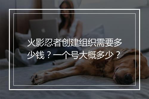 火影忍者创建组织需要多少钱？一个号大概多少？
