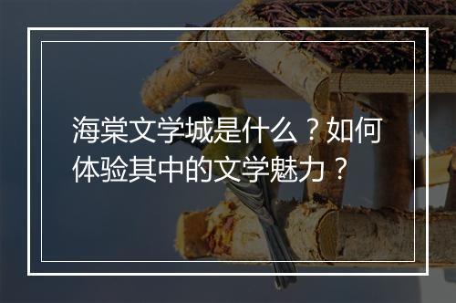 海棠文学城是什么?如何体验其中的文学魅力?