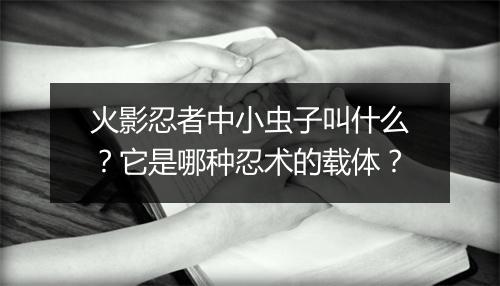 火影忍者中小虫子叫什么？它是哪种忍术的载体？