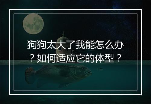 狗狗太大了我能怎么办?如何适应它的体型?