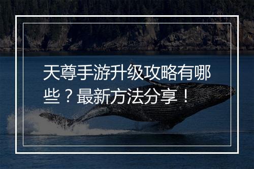 天尊手游升级攻略有哪些？最新方法分享！