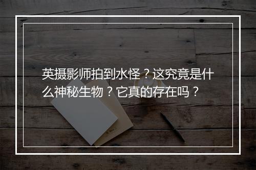 英摄影师拍到水怪?这究竟是什么神秘生物?它真的存在吗?