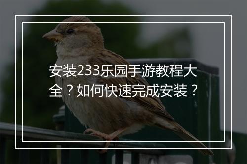 安装233乐园手游教程大全？如何快速完成安装？