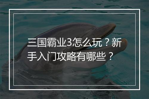 三国霸业3怎么玩?新手入门攻略有哪些?