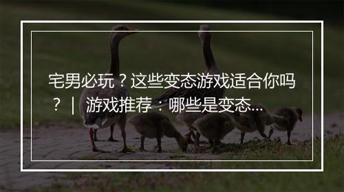 宅男必玩?这些变态游戏适合你吗?| 游戏推荐:哪些是变态游戏?