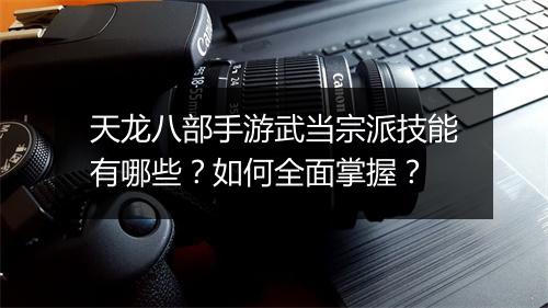 天龙八部手游武当宗派技能有哪些？如何全面掌握？