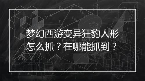 梦幻西游变异狂豹人形怎么抓？在哪能抓到？