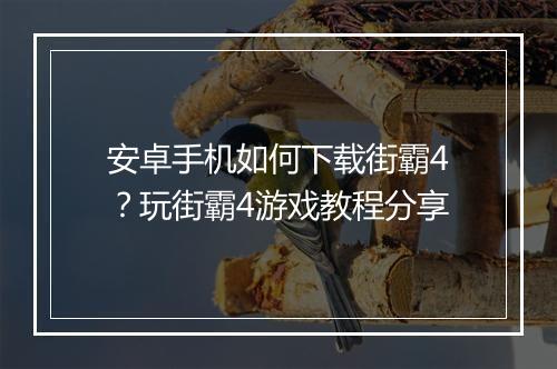安卓手机如何下载街霸4？玩街霸4游戏教程分享