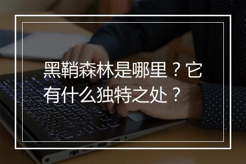 黑鞘森林是哪里？它有什么独特之处？