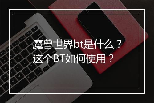 魔兽世界bt是什么？这个BT如何使用？