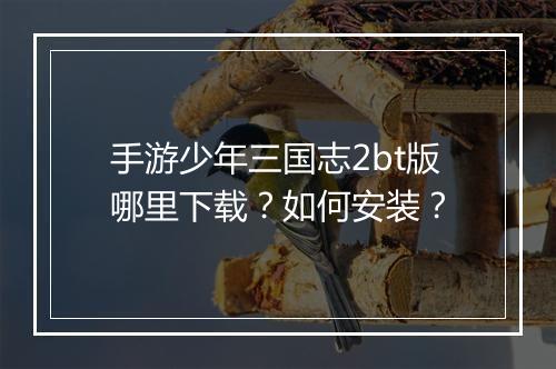 手游少年三国志2bt版哪里下载?如何安装?