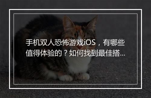 手机双人恐怖游戏iOS，有哪些值得体验的？如何找到最佳搭档？