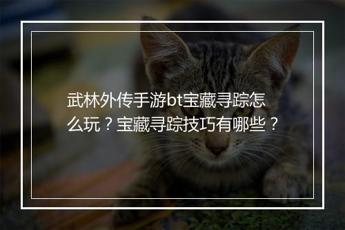 武林外传手游bt宝藏寻踪怎么玩?宝藏寻踪技巧有哪些?