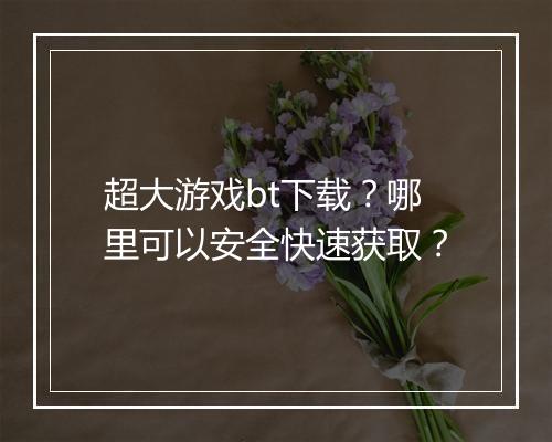 超大游戏bt下载？哪里可以安全快速获取？