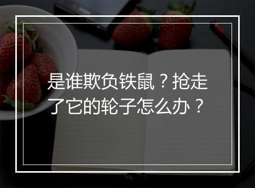 是谁欺负铁鼠？抢走了它的轮子怎么办？