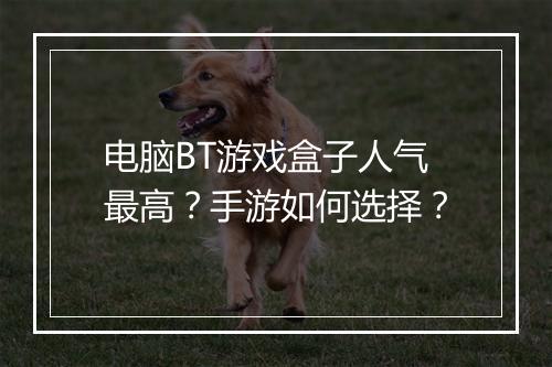 电脑BT游戏盒子人气最高?手游如何选择?