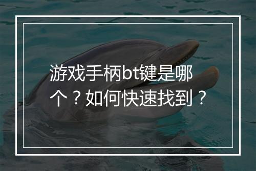 游戏手柄bt键是哪个?如何快速找到?