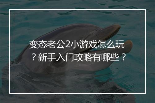 变态老公2小游戏怎么玩?新手入门攻略有哪些?