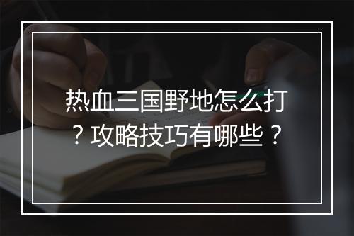 热血三国野地怎么打？攻略技巧有哪些？