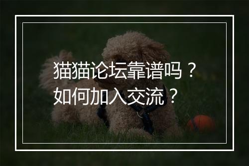 猫猫论坛靠谱吗?如何加入交流?