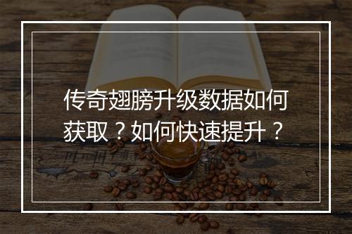 传奇翅膀升级数据如何获取?如何快速提升?