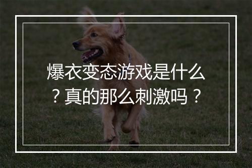 爆衣变态游戏是什么？真的那么刺激吗？