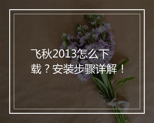 飞秋2013怎么下载?安装步骤详解!