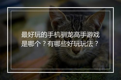最好玩的手机驯龙高手游戏是哪个？有哪些好玩玩法？