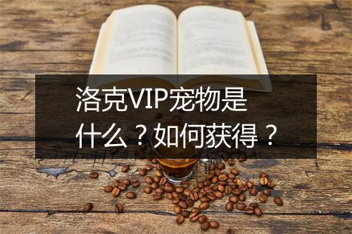 洛克VIP宠物是什么？如何获得？