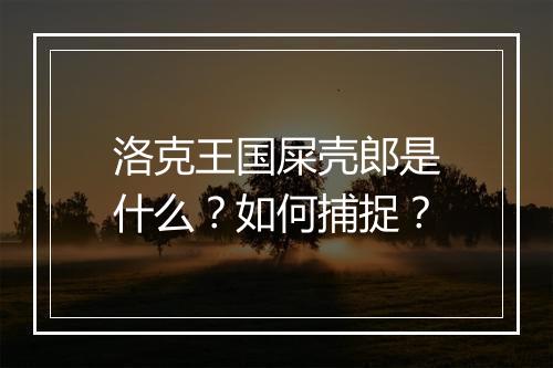 洛克王国屎壳郎是什么？如何捕捉？