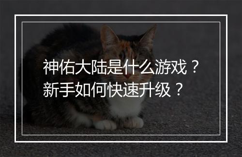 神佑大陆是什么游戏?新手如何快速升级?