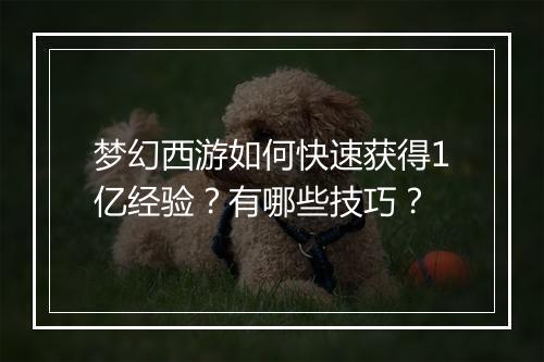梦幻西游如何快速获得1亿经验？有哪些技巧？