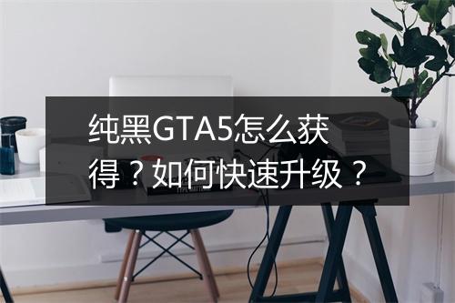 纯黑GTA5怎么获得？如何快速升级？