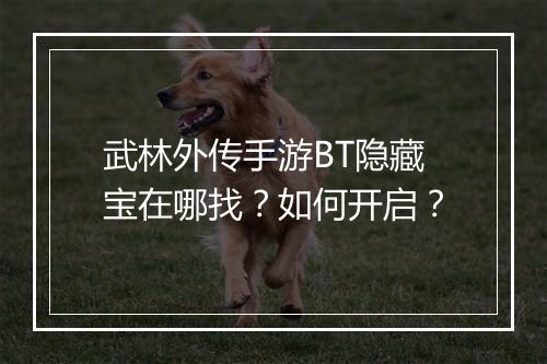 武林外传手游BT隐藏宝在哪找？如何开启？