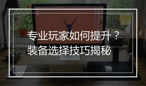 专业玩家如何提升?装备选择技巧揭秘