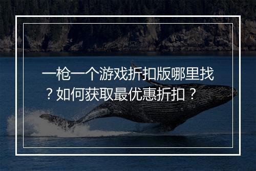 一枪一个游戏折扣版哪里找？如何获取最优惠折扣？