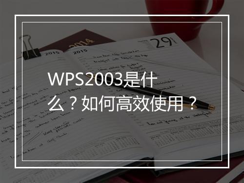 WPS2003是什么?如何高效使用?