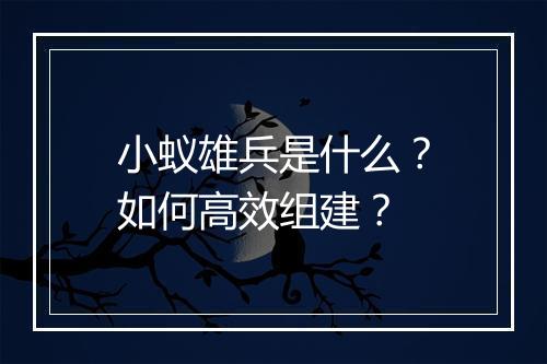 小蚁雄兵是什么?如何高效组建?
