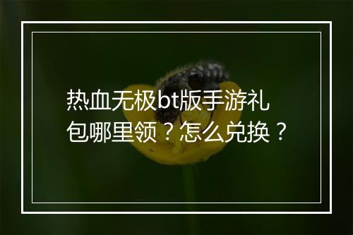 热血无极bt版手游礼包哪里领？怎么兑换？
