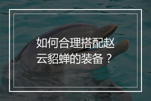 如何合理搭配赵云貂蝉的装备？