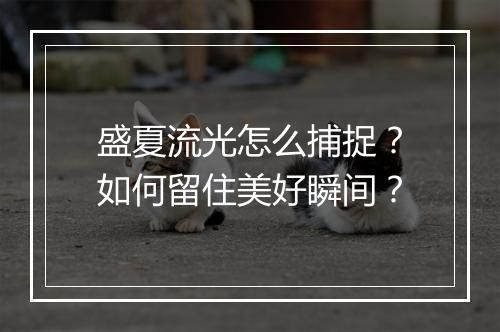 盛夏流光怎么捕捉?如何留住美好瞬间?