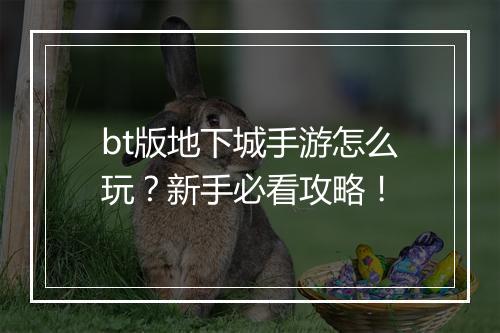 bt版地下城手游怎么玩?新手必看攻略!