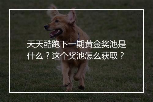 天天酷跑下一期黄金奖池是什么？这个奖池怎么获取？