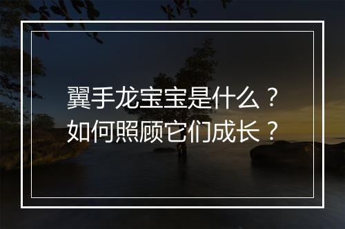 翼手龙宝宝是什么？如何照顾它们成长？