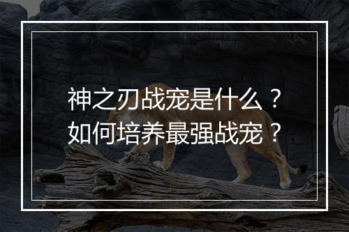 神之刃战宠是什么？如何培养最强战宠？
