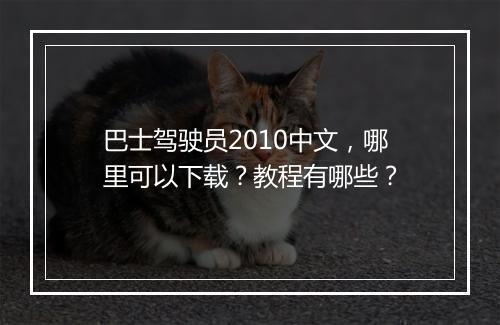 巴士驾驶员2010中文,哪里可以下载?教程有哪些?