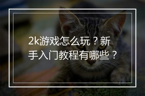 2k游戏怎么玩?新手入门教程有哪些?