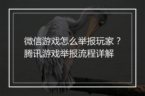 微信游戏怎么举报玩家？腾讯游戏举报流程详解